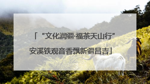“文化润疆·福茶天山行”安溪铁观音香飘新疆昌吉